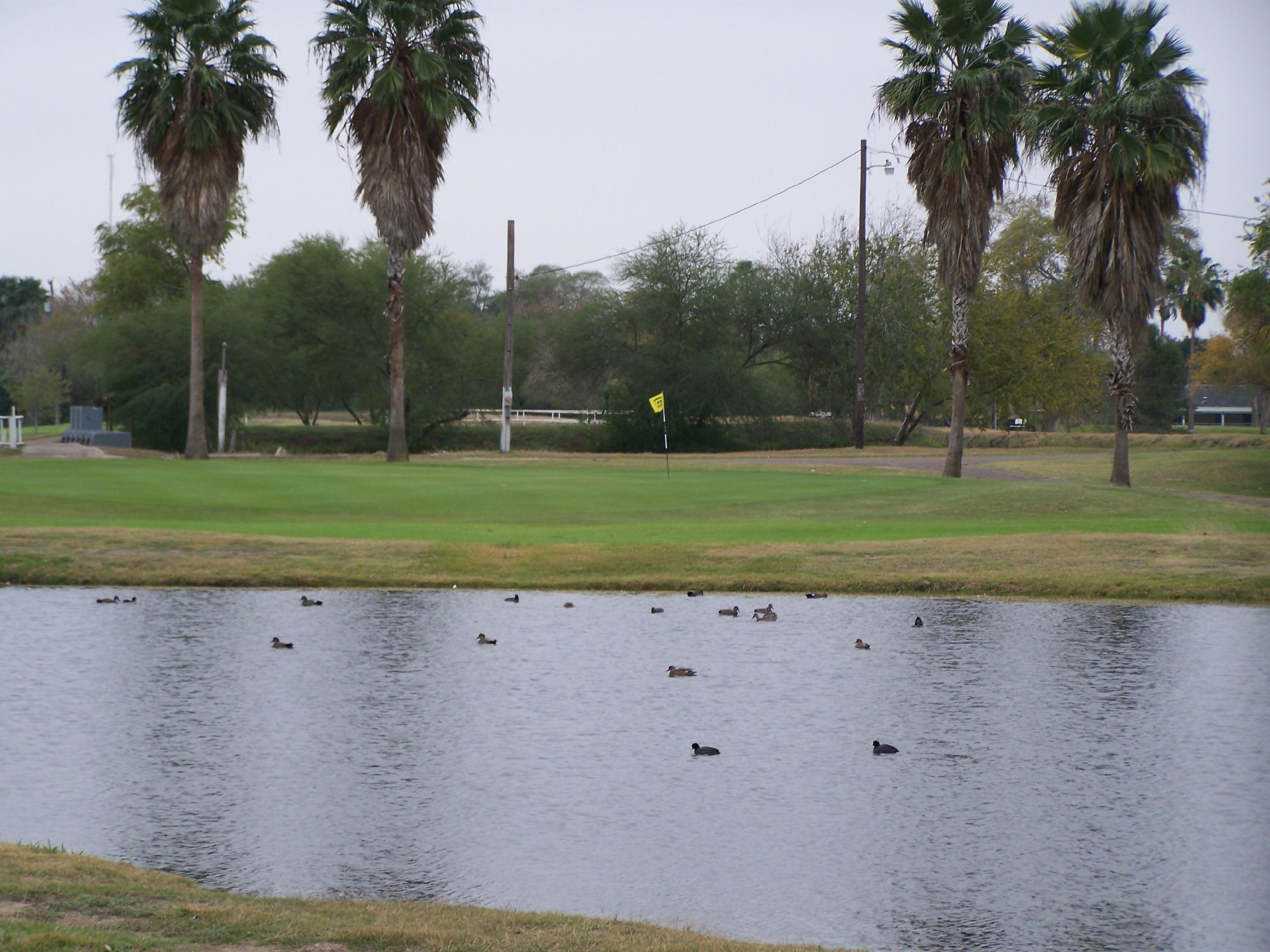 A tranquil pond with ducks gliding across the water at Ebony Hills Golf Course